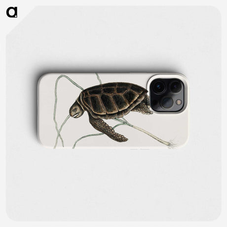 1-77_Mark-Catesby_phone