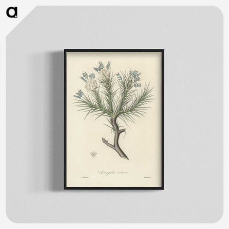 1-77_Medical-Botany_blk-crop