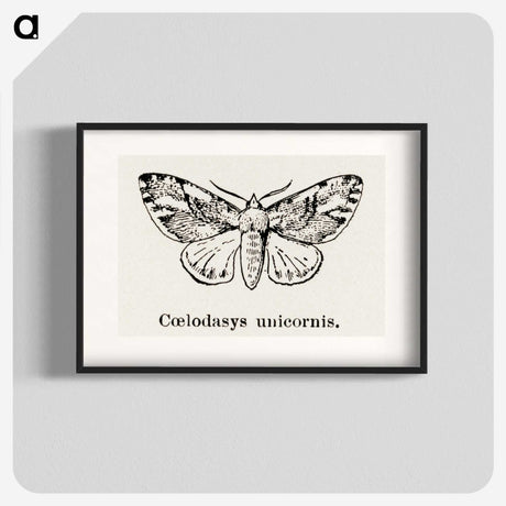 1-77_Moths-and-Butterflies-of-the-United-States_blk