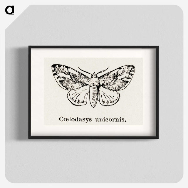 1-77_Moths-and-Butterflies-of-the-United-States_blk