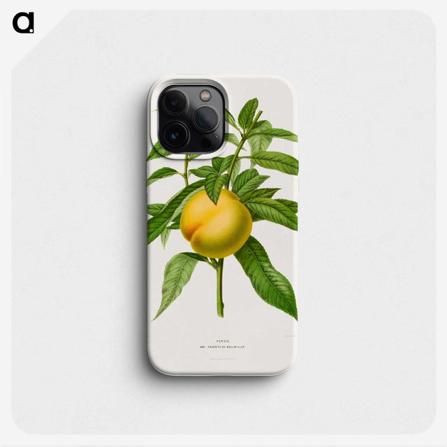 1-77_Nederlandsche-Flora-en-Pomona_phone