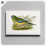 1-77_Parrots-in-Captivity_canvas