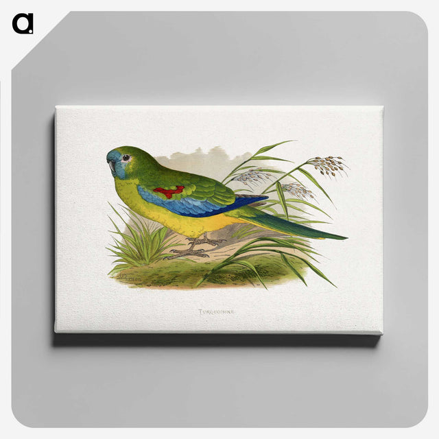 1-77_Parrots-in-Captivity_canvas