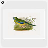 1-77_Parrots-in-Captivity_picture
