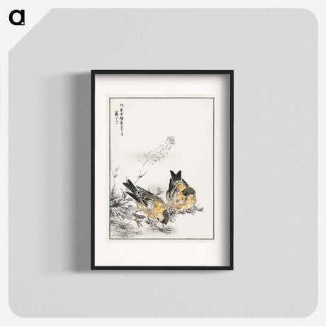 アートポスター-Small Japanese Greenfinch and Shepherd's Purse
 - 鳥類図鑑 Poster.