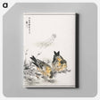 アートパネル-Small Japanese Greenfinch and Shepherd's Purse
 - 鳥類図鑑 Canvas.