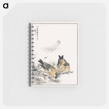 アートメモ帳-Small Japanese Greenfinch and Shepherd's Purse
 - 鳥類図鑑 Memo.