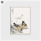 アートポストカード-Small Japanese Greenfinch and Shepherd's Purse
 - 鳥類図鑑 Postcard.