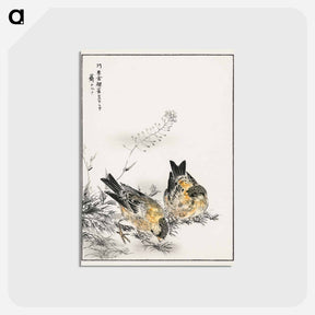 アートポストカード-Small Japanese Greenfinch and Shepherd's Purse
 - 鳥類図鑑 Postcard.