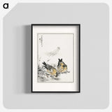 1-77_Pictorial-Monograph-of-Birds_blk