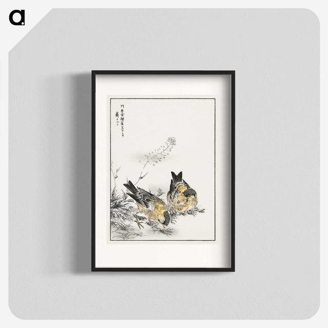 1-77_Pictorial-Monograph-of-Birds_blk