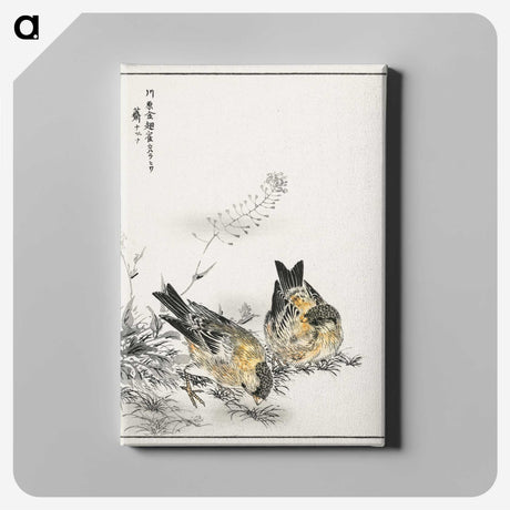 1-77_Pictorial-Monograph-of-Birds_canvas