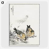 1-77_Pictorial-Monograph-of-Birds_picture-crop