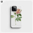 1-77_Pierre-Joseph-Redoute_phone