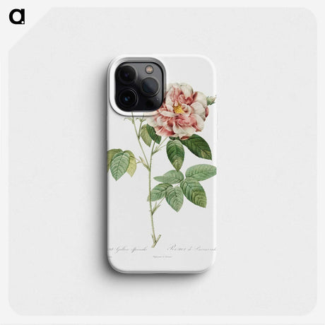 1-77_Pierre-Joseph-Redoute_phone