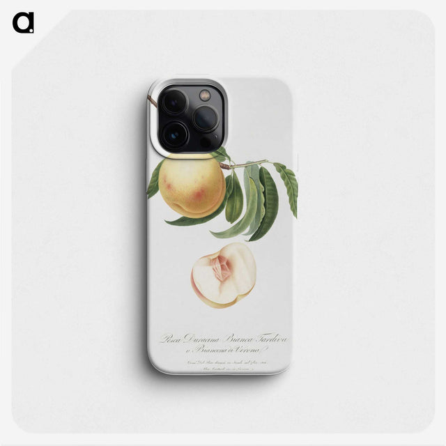 1-77_Pomona-Italiana_phone