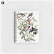アートメモ帳-Rose-breasted Grosbeak from Birds of America
 - アメリカの鳥たち Memo.