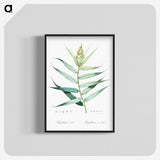1-77_The-Lilies_blk-crop