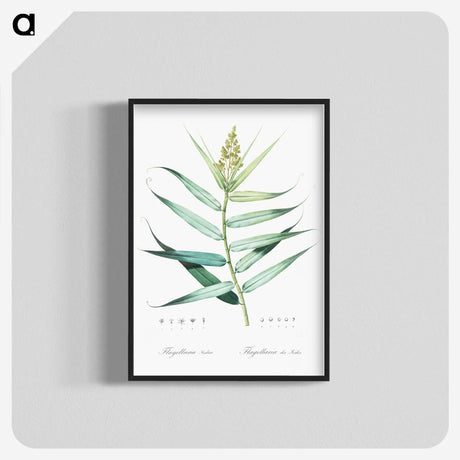 1-77_The-Lilies_blk-crop