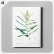 1-77_The-Lilies_canvas