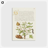 1-77_The-Model-Book-of-Calligraphy_postcard