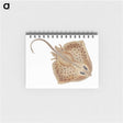 1-77_The-Natural-History-of-British-Fishes_memo