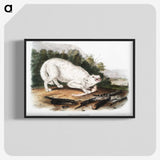 1-77_The-Viviparous-Quadrupeds_blk-crop