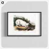 1-77_The-Viviparous-Quadrupeds_blk