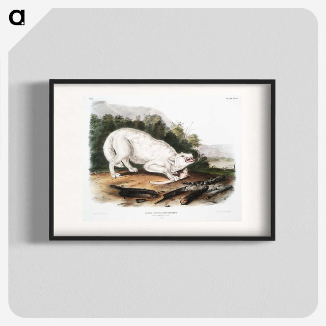 1-77_The-Viviparous-Quadrupeds_blk