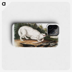 1-77_The-Viviparous-Quadrupeds_phone