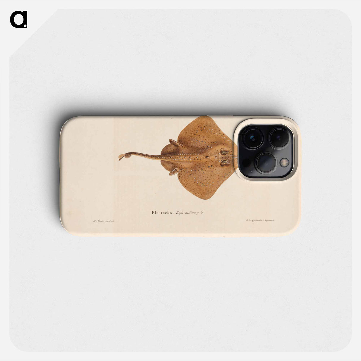 Thorny skate, female, Wilhelm von Wright - Wilhelm von Wright Phone Case.