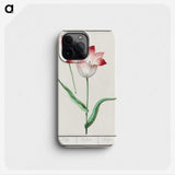 1-78_Anselmus-Boetius-de-Boodt_phone