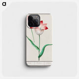 Tulip - アンセルムス ボエティウス デ ブート Phone Case.