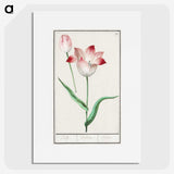 1-78_Anselmus-Boetius-de-Boodt_picture