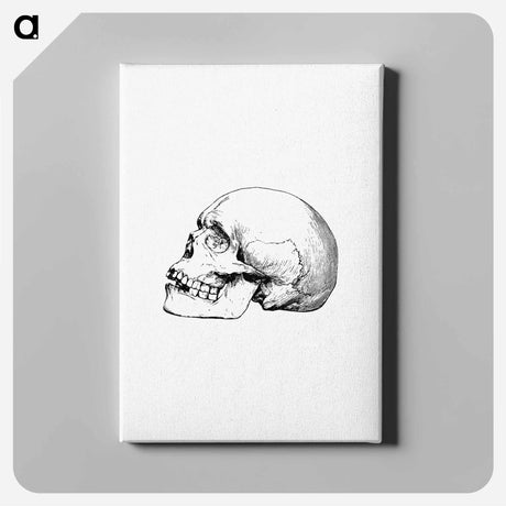 アートパネル-Skull from Voyages and Adventures in Equatorial Africa
 - 大英図書館 Canvas.