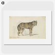 1-78_Charles-Hamilton-Smith_picture