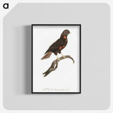 1-78_Des-Oiseaux-de-Paradis_blk-crop