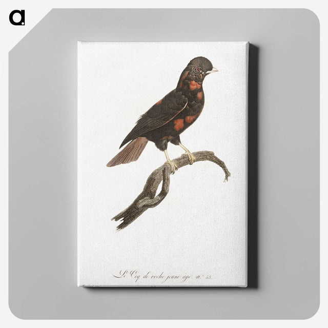 1-78_Des-Oiseaux-de-Paradis_canvas