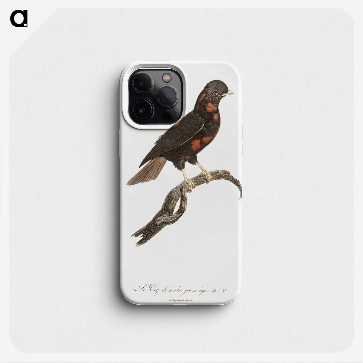 1-78_Des-Oiseaux-de-Paradis_phone