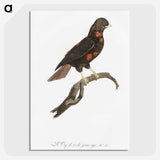 1-78_Des-Oiseaux-de-Paradis_picture-crop