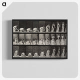 1-78_Eadweard-Muybridge_blk-crop
