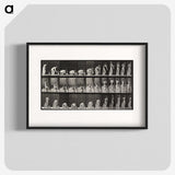 1-78_Eadweard-Muybridge_blk