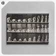 1-78_Eadweard-Muybridge_canvas