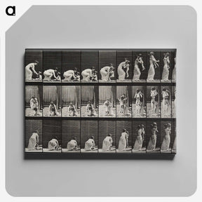 1-78_Eadweard-Muybridge_canvas
