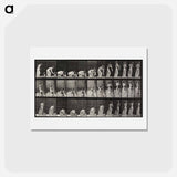 アートポストカード-Lifting Child
 - エドワード マイブリッジ Postcard.