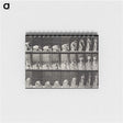 1-78_Eadweard-Muybridge_memo