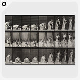 1-78_Eadweard-Muybridge_picture-crop
