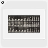 1-78_Eadweard-Muybridge_picture