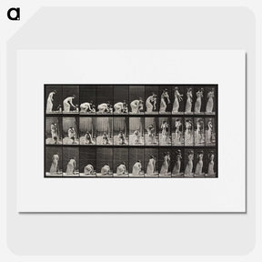 1-78_Eadweard-Muybridge_picture
