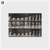 アートポストカード-Lifting Child
 - エドワード マイブリッジ Postcard.